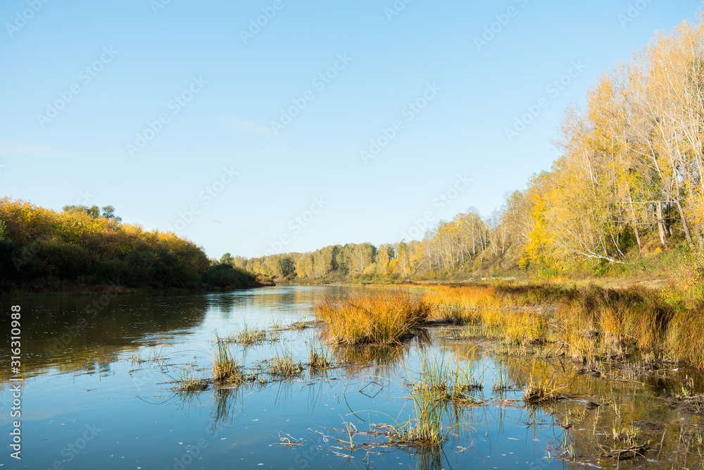 Beautiful river in sunshiny morning. Autumn landscape.