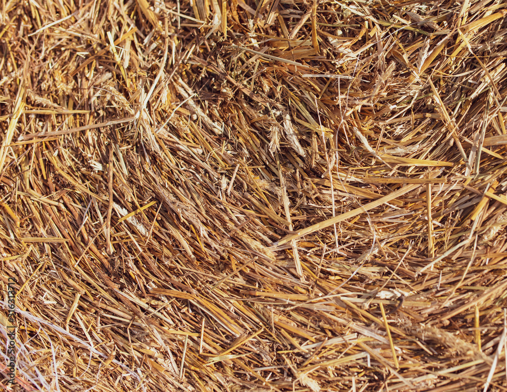 Stack of dry hay as an abstract background