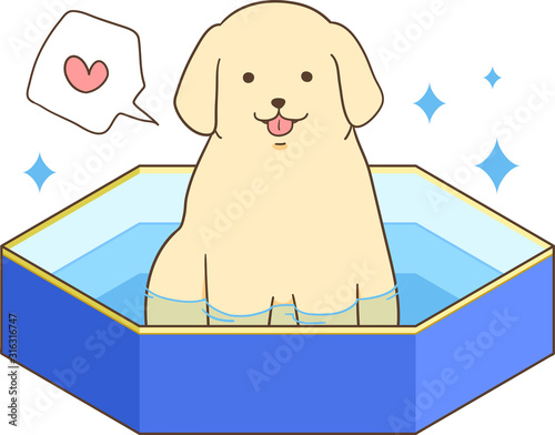 ゴールデンレトリバーの子犬（