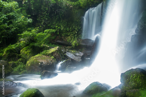 waterfall in forest