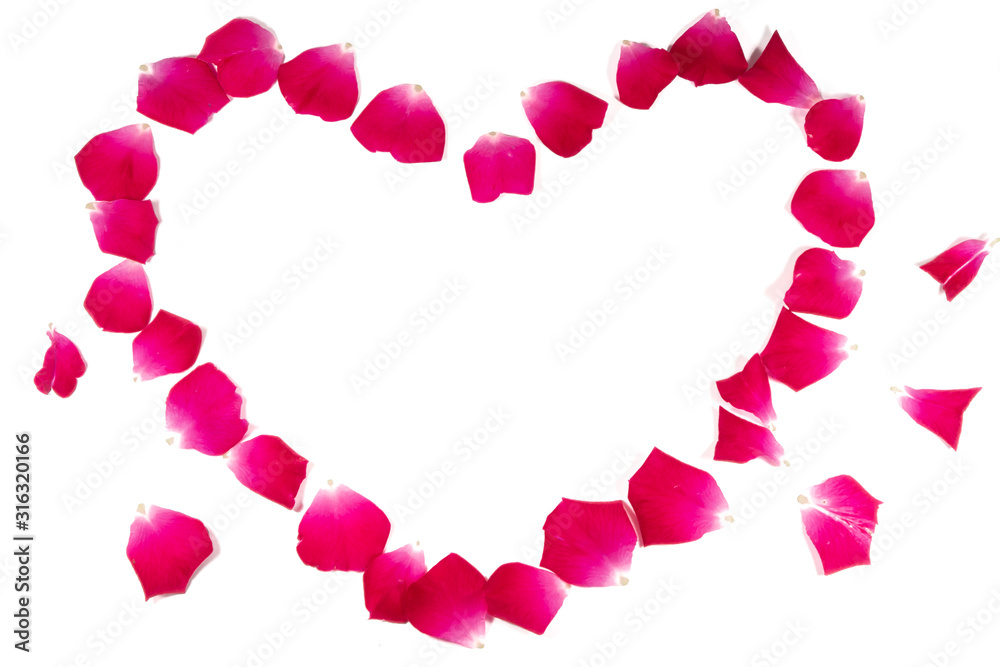 Red rose petals Isolated on white background Red rose petals Isolated on white background