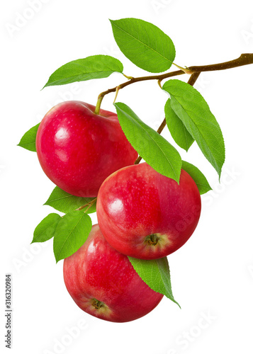 Apple isolated. Three red ripe juicy apples on  branch with green leaves isolated on white background as design for package