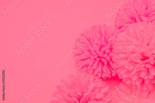 Beautiful abstract color white and pink flowers on white background and white flower frame and orange leaves background texture, flowers banner, pink background, colorful pink banner happy valentine