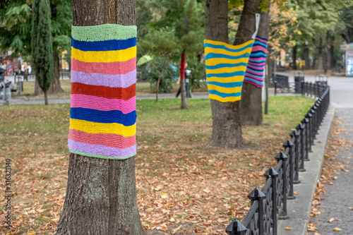 Fotografi Trees wearing colorful knitted scarves in autumn park