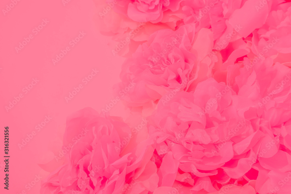 Beautiful abstract color white and pink flowers on white background and white flower frame and orange leaves background texture, flowers banner, pink background, colorful pink banner happy valentine