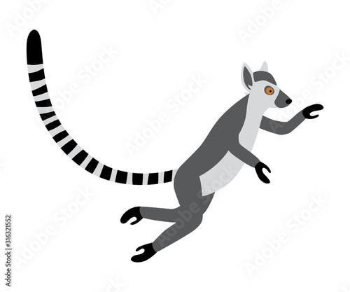 Cute funny ring-tailed lemur jumps. Exotic Lemur catta. Vector illustration in cartoon and flat style isolated on white background