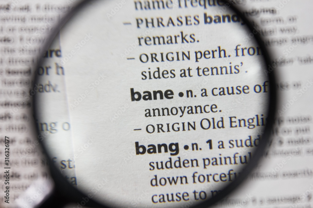 The word or phrase bane in a dictionary. The word or phrase bane in a dictionary.