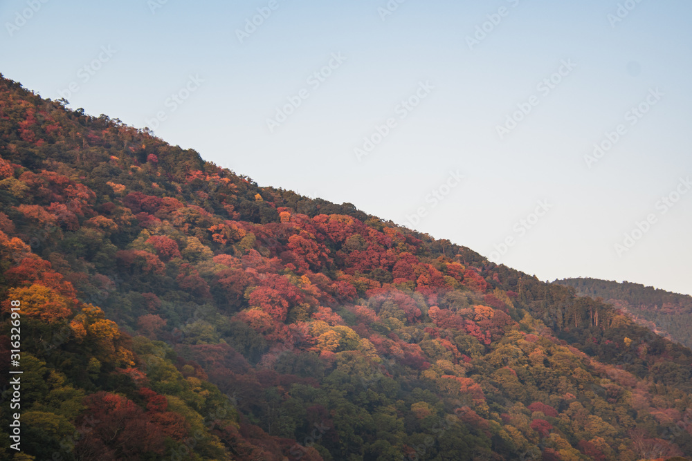 A picture of a mountain with fall colours, and some morning mist rising up.     Arashiyama Kyoto Japan