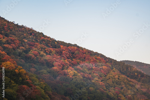 A picture of a mountain with fall colours, and some morning mist rising up.     Arashiyama Kyoto Japan © haseg77