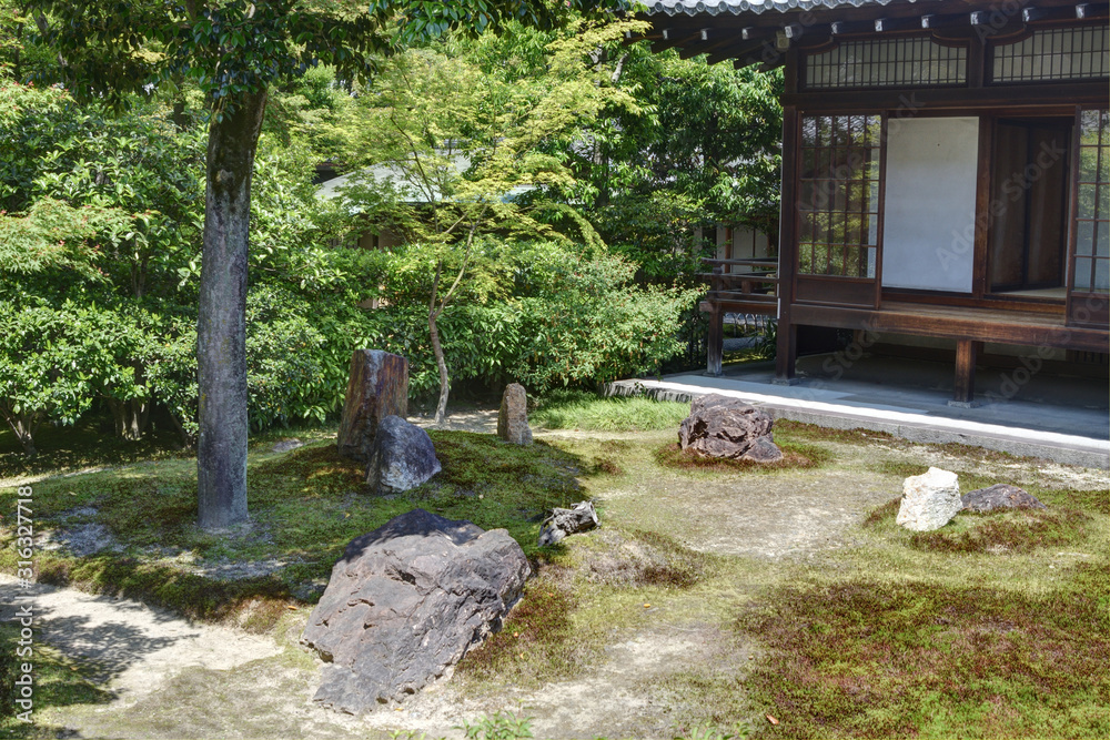 Fototapeta premium 建仁寺の庭