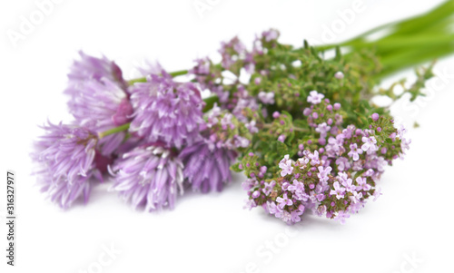 bouquet of chive and thyme in flower on white background