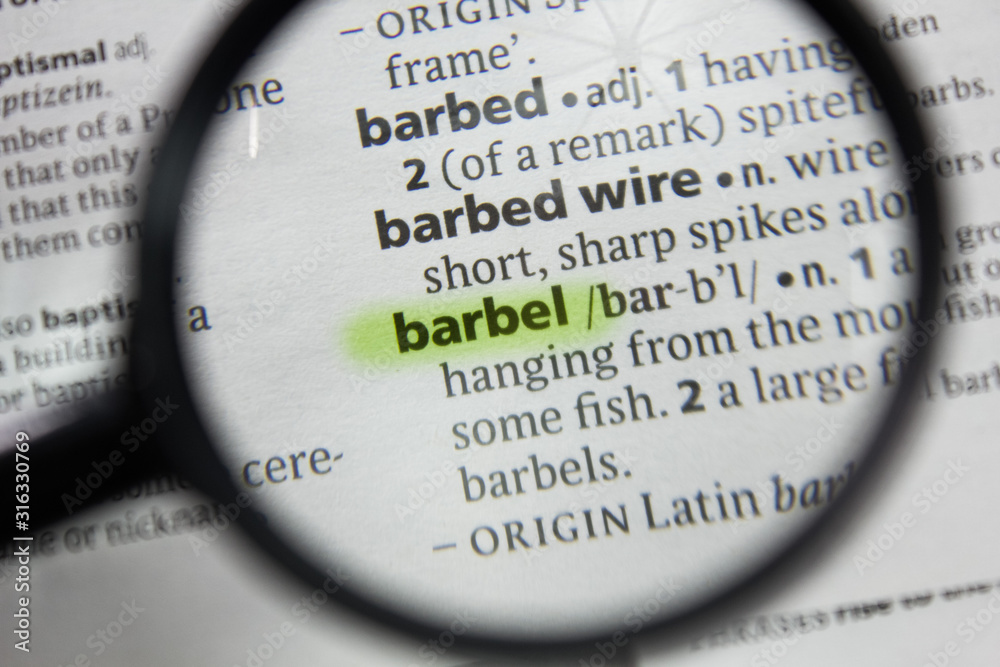 The word or phrase barbel in a dictionary. The word or phrase barbel in a dictionary.