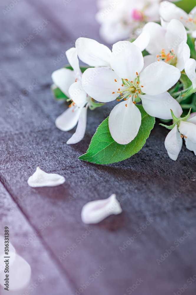 Fototapeta premium A twig with small white flowers on a rustic wooden background. spring Apple blossom. copy space