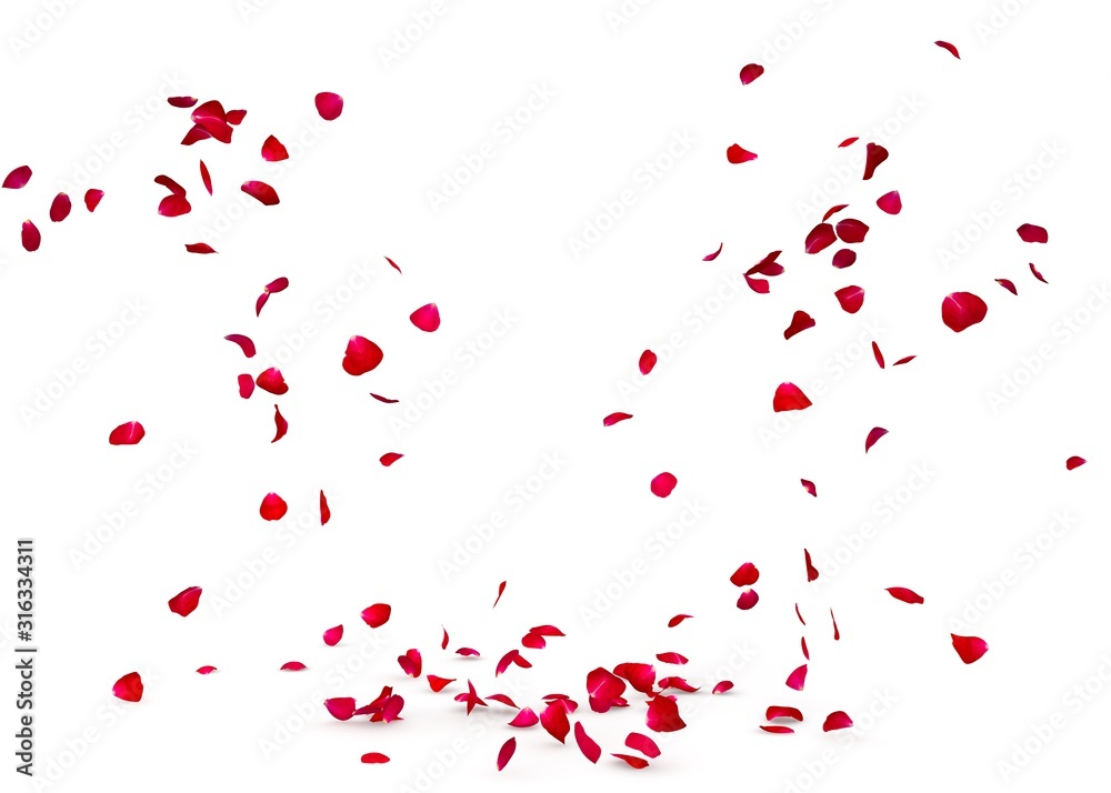 Rose petals fall beautifully on the floor