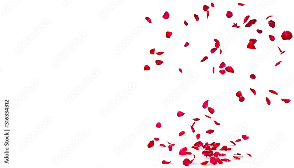 Rose petals fall beautifully on the floor