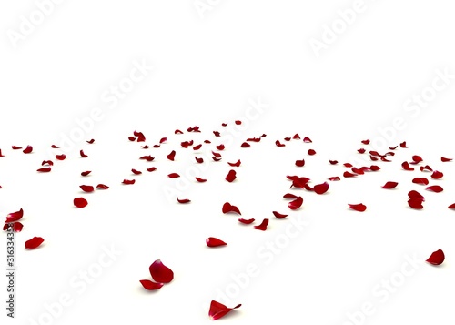 Rose petals are scattered on the floor