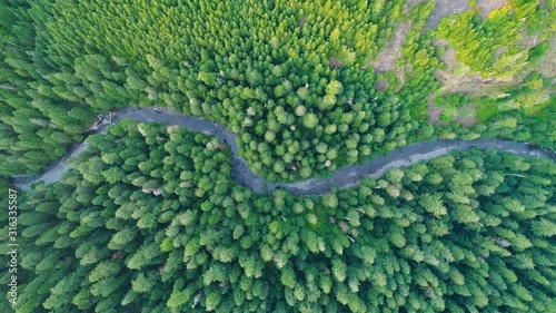 Winding River Running through a Pristine Cascade Mountain Forest 