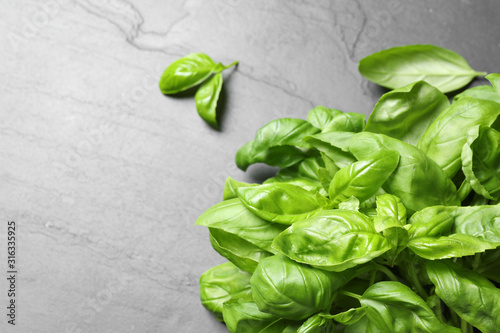 Fresh basil leaves on grey table, top view. Space for text
