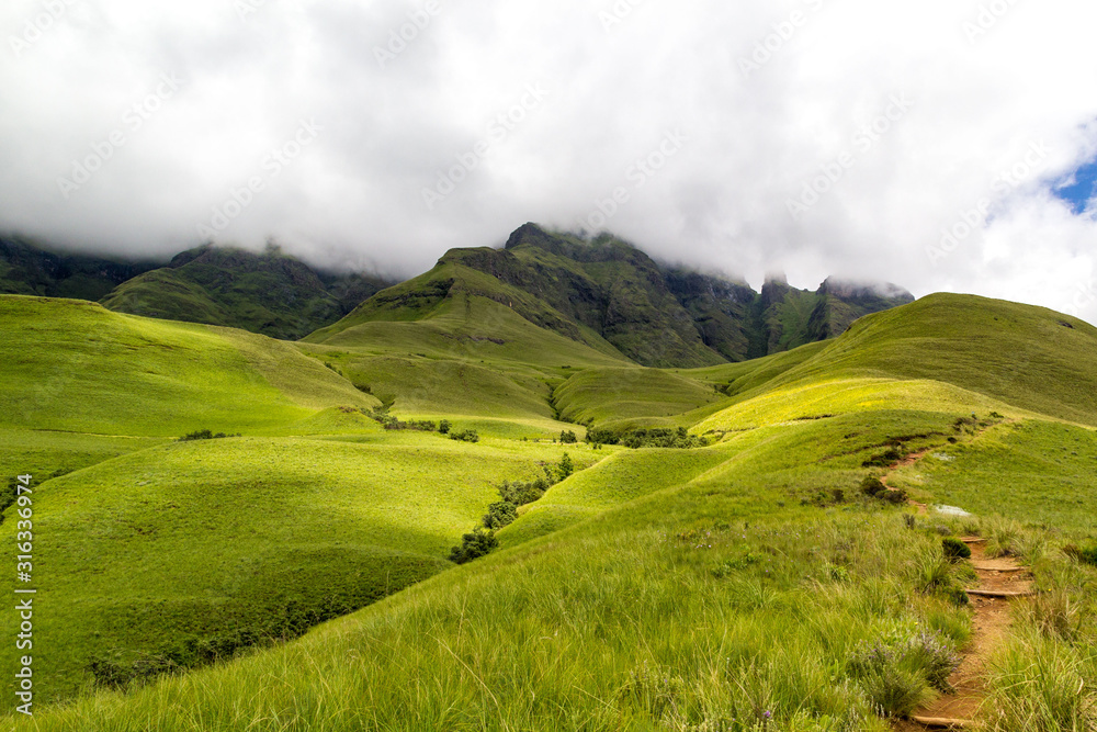 Small path leading to Blindman's Corner, green meadows and soft green mountains, Monk's Cowl, Champagne Castle and Cathkin Peak shrouded in clouds, Drakensberg, South Africa