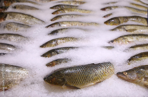 Fresh fish on display with ice at wholesale market