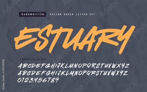 Expressive handwritten calligraphic vector brush letter set