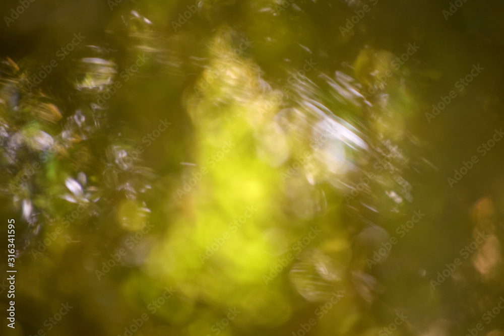 abstract green and golden color background of tree leafs abstract green and golden color background of tree leafs