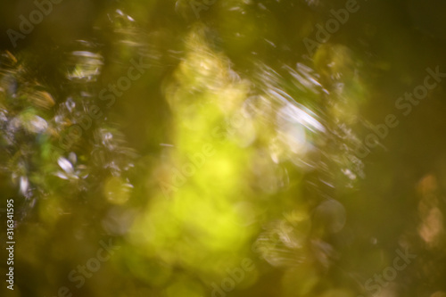 abstract green and golden color background of tree leafs