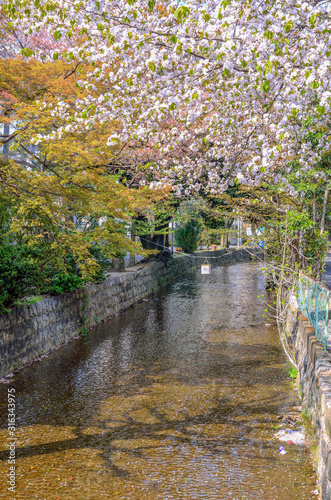 Fototapeta Naklejka Na Ścianę i Meble -  京都の高瀬川