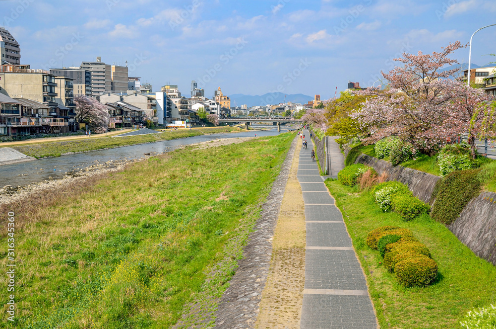 京都の鴨川沿いの遊歩道