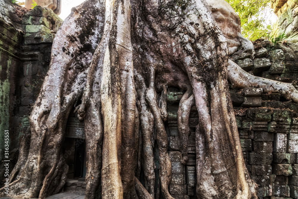 Angkor Wat Siem Reap Cambodia Asia Khmer civilization ruins Angkor Wat Siem Reap Cambodia Asia Khmer civilization ruins