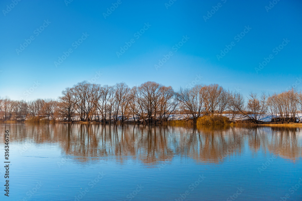 Spring natural landscape with trees standing in the water during the spring flood. beautiful spring landscape with reflection in a river, lake or pond.