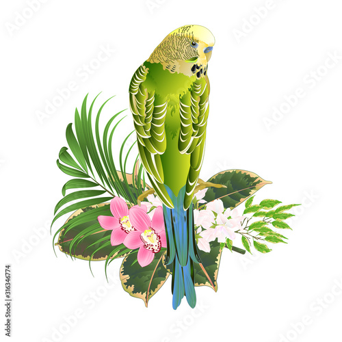 Budgerigar, home pet ,green pet parakeet with tropical flowers floral arrangement, with beautiful pink orchids cymbidium Ficus benjamina and ficus natural background vintage photo