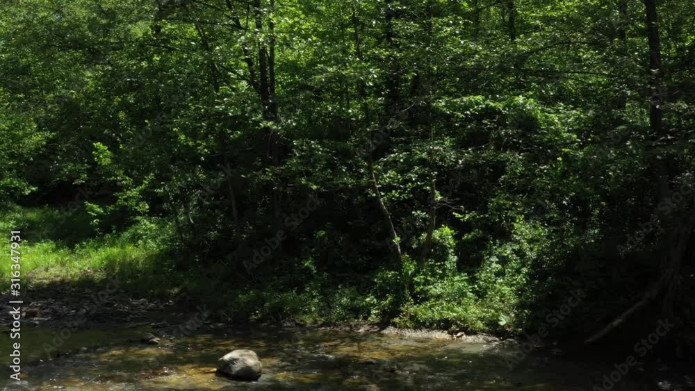 A mountain river with sparkling water in the sun and wet stones flows among green tall trees. Drone Video Recording A mountain river with sparkling water in the sun and wet stones flows among green tall trees. Drone Video Recording