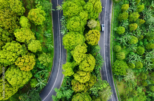 Aerial view on road in the forest. Highway throu the forest. View from a drone. Natural landscape in summer time from air. Travel - image