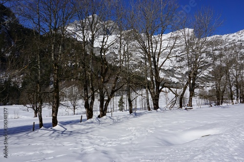 Winterlandschaft im Gebirge, Österreich, Wanderweg mit Schnee