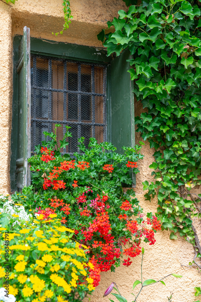Blumenfenster Blumenfenster