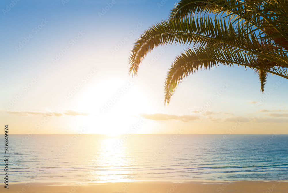 A beautiful sunrise in paradise over a tropical beach with  palm trees. Nature Background. Holiday concept.