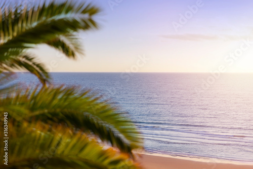 A beautiful sunrise in paradise over a bright tropical beach with blurred palm trees in the foreground. Nature background. Vacation, travel concept.