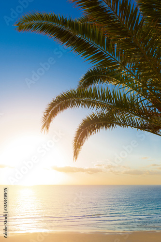 A beautiful sunrise in paradise over a tropical beach with palm trees. Nature Background. Holiday concept.