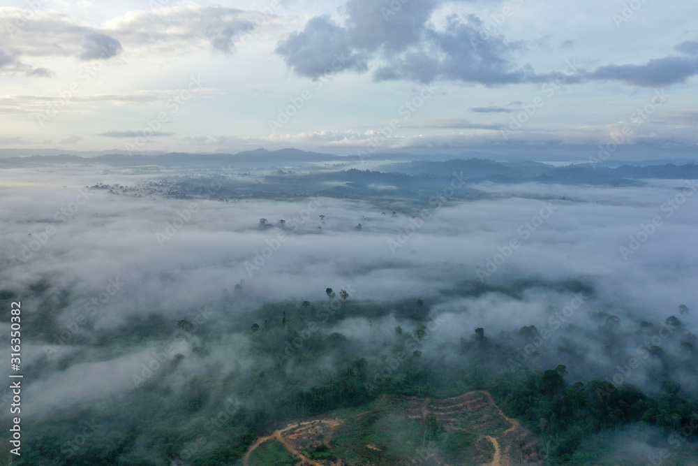 Aerial view misty and foggy morning at the Imbak Village in Tongod, Sabah, Malaysia, Borneo. Certain part with rainforest jungle and palm oil plantation.