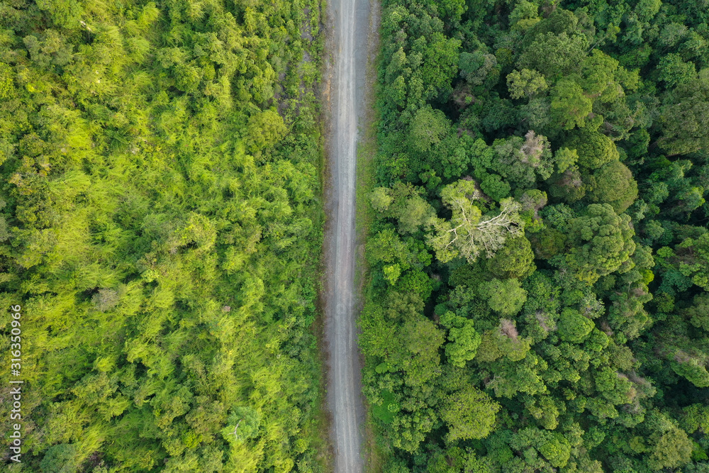 Aerial view of wild Borneo Rainforest or Rain Forest.