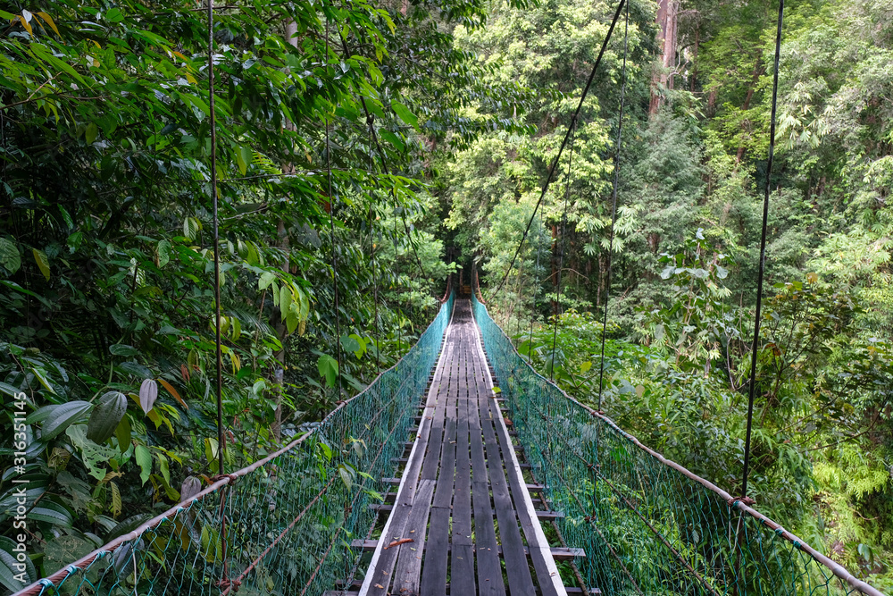 Obraz premium The suspension bridge crossing the wild river in the middle of the Borneo Rainforest in Sabah, Malaysia.