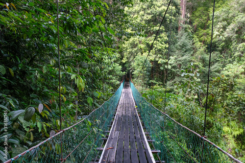 Fototapeta Naklejka Na Ścianę i Meble -  The suspension bridge crossing the wild river in the middle of the Borneo Rainforest in Sabah, Malaysia.