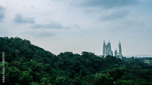 Beautiful green forest with a view of skyscrapers in the distance  view from Henderson Waves Bridge..Singapore cityscape from The Southern Ridges..Giant building behind the forest