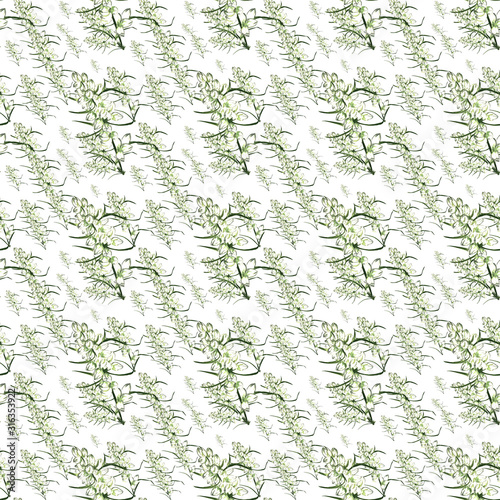 watercolor illustration. hand painted. seamless pattern of wormwood branches with flowers on a white background.