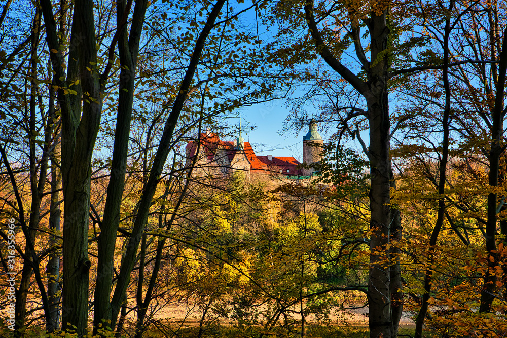 view through trees on the castle Czocha view through trees on the castle Czocha