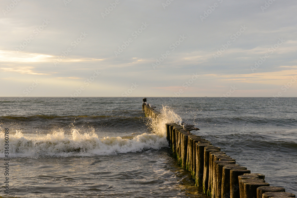 Fototapeta premium Waves in Ustronie Morskie