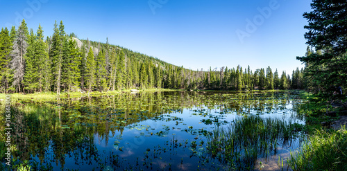 Fototapeta Naklejka Na Ścianę i Meble -  nymph lake in the forest with water lily, rocky mountain national park