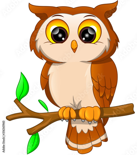 Cartoon owl bird