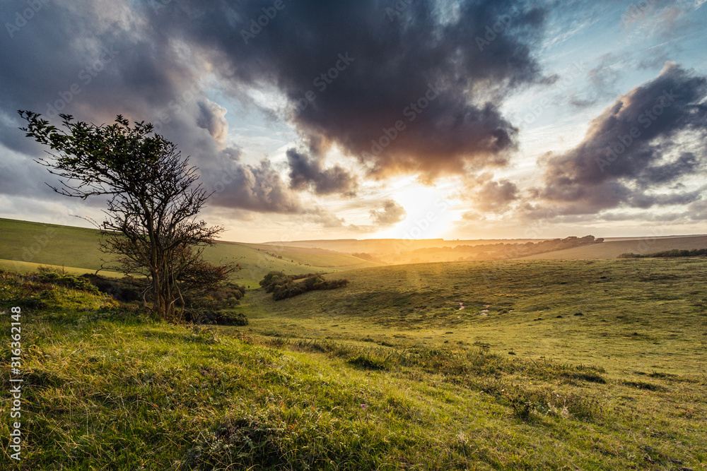 sunset over green field